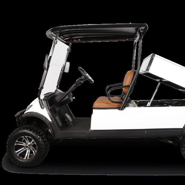 Icon EV Cruise Car