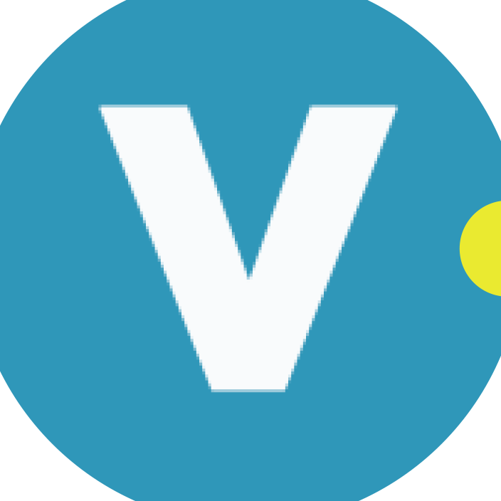 Velocitor Solutions
